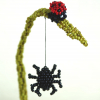 Lady Bug and spider